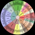 Aroma Wheel