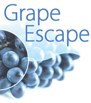 Grape Escape offer wine tours in the Hawkes Bay area