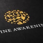 Wine Awakenings